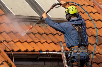 Démoussage et hydrofuge de toiture à Bona